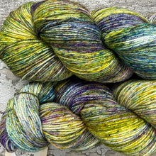 Load image into Gallery viewer, Welsh Mountains, merino nylon sock yarn