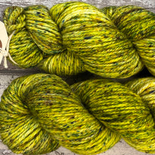 Load image into Gallery viewer, Delightfully Deciduous Aran, soft superwash merino yarn