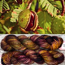 Load image into Gallery viewer, Horse Chestnut Aran, soft superwash merino yarn