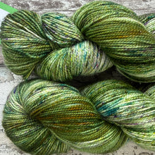 Load image into Gallery viewer, Woodland Sparkle, merino nylon sock yarn