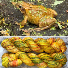 Load image into Gallery viewer, Golden Frog, merino nylon sock yarn