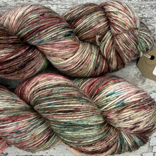 Load image into Gallery viewer, Aw Nuts!, merino nylon sock yarn