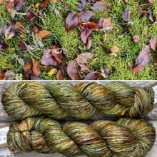 Load image into Gallery viewer, I Ain’t Leafin’ DK, merino nylon yarn
