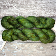 Load image into Gallery viewer, Mossy Frog, merino nylon sock yarn