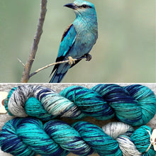 Load image into Gallery viewer, European Roller, merino nylon sock yarn