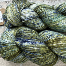 Load image into Gallery viewer, Monk’s Hood Lichen, merino nylon sock yarn