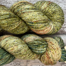 Load image into Gallery viewer, Awakening Woodland, merino nylon sock yarn