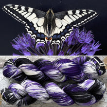 Load image into Gallery viewer, Swallowtail Butterfly, merino nylon sock yarn