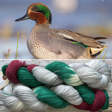Load image into Gallery viewer, (June) Teal Duck, merino nylon sock yarn