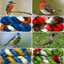 Load image into Gallery viewer, Rainbow Yarn Subscription Club
