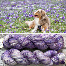 Load image into Gallery viewer, Field of Crocuses, merino nylon sock yarn