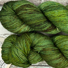 Load image into Gallery viewer, Mossy Frog, merino nylon sock yarn