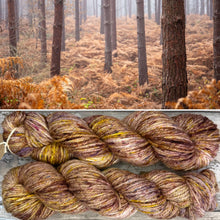 Load image into Gallery viewer, Bracken Aran, soft superwash merino yarn