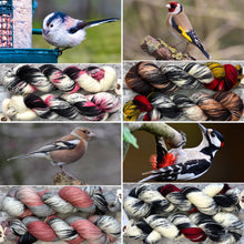 Load image into Gallery viewer, Rainbow Yarn Subscription Club