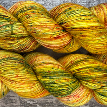 Load image into Gallery viewer, Tractor Eggs, merino nylon sock yarn
