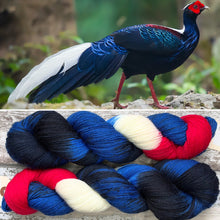 Load image into Gallery viewer, Swinhoe’s Pheasant DK, merino nylon yarn