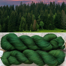 Load image into Gallery viewer, Pine Forest, merino nylon sock yarn