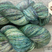 Load image into Gallery viewer, Ribbit, merino nylon sock yarn