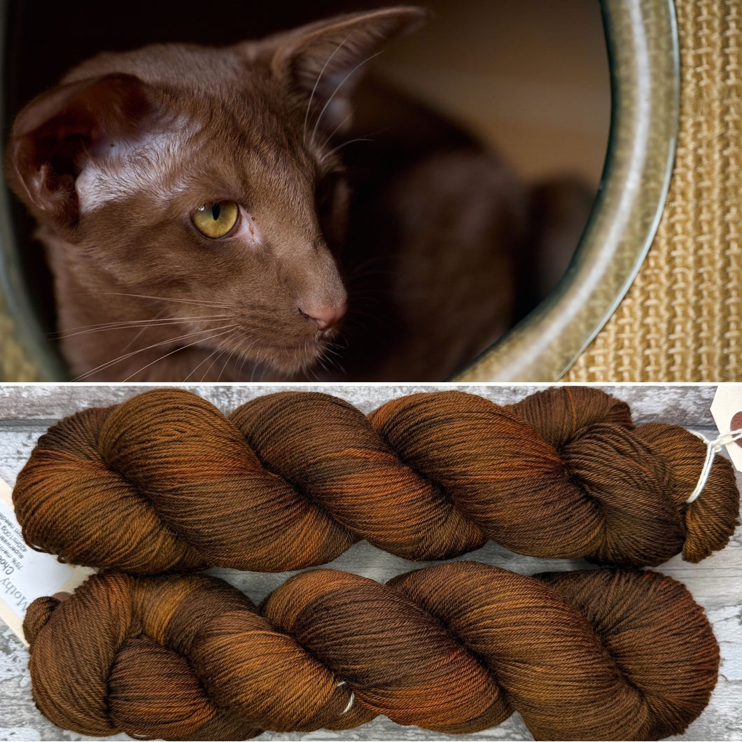 Havana Brown Cat, merino nylon sock yarn