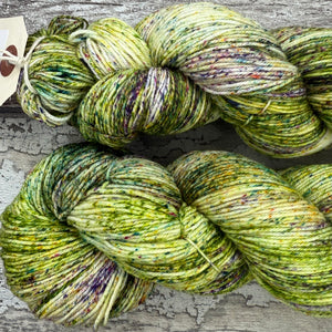 Woodland, merino nylon sock yarn