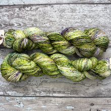 Load image into Gallery viewer, Woodland, merino nylon sock yarn
