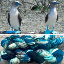 Load image into Gallery viewer, Blue Footed Booby, merino nylon sock yarn