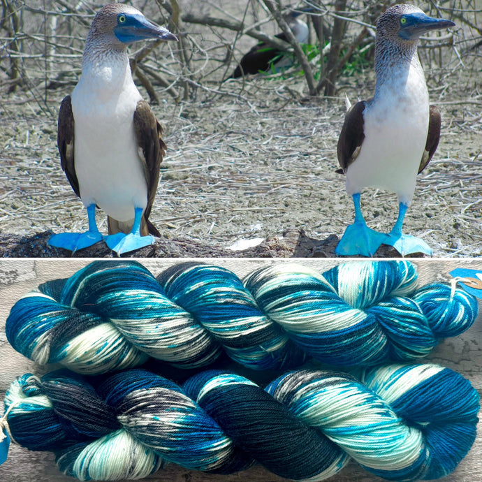 Blue Footed Booby, merino nylon sock yarn