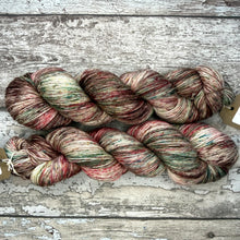Load image into Gallery viewer, Aw Nuts!, merino nylon sock yarn