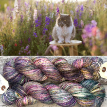 Load image into Gallery viewer, The Cat’s Garden, merino pima cotton 4ply yarn