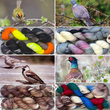 Load image into Gallery viewer, Rainbow Yarn Subscription Club