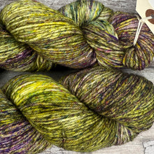 Load image into Gallery viewer, Winter Woodland DK, merino nylon yarn