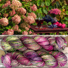 Load image into Gallery viewer, Enjoy the Fruits Aran, soft superwash merino yarn