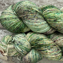 Load image into Gallery viewer, Catnip, merino nylon sock yarn
