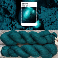 Load image into Gallery viewer, Transformative Teal, merino nylon sock yarn