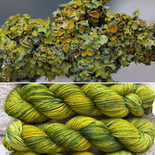 Load image into Gallery viewer, SALE Lichen DK, merino nylon yarn