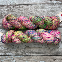 Load image into Gallery viewer, SALE Sprinkles, merino nylon sock yarn