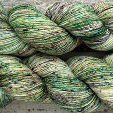 Load image into Gallery viewer, Catnip, merino nylon sock yarn