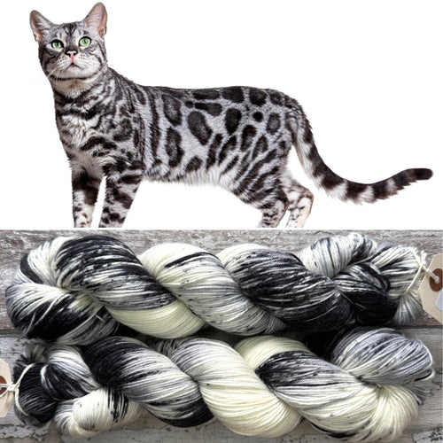 Silver Bengal Cat, merino nylon sock yarn