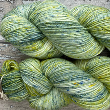Load image into Gallery viewer, Beard Lichen, merino nylon sock yarn