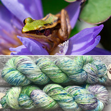 Load image into Gallery viewer, If it fits, I sits!, merino nylon sock yarn