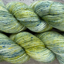 Load image into Gallery viewer, Beard Lichen, merino nylon sock yarn
