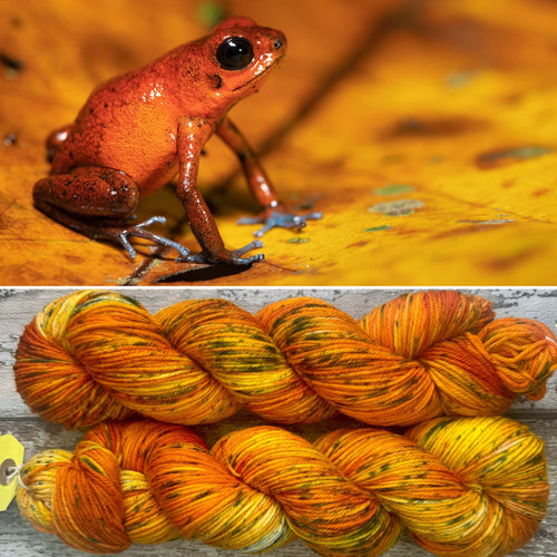 Strawberry Dart Frog DK, merino nylon yarn