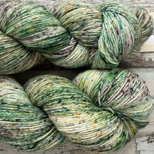 Load image into Gallery viewer, Catnip, merino nylon sock yarn