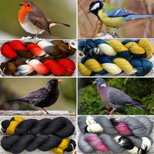 Load image into Gallery viewer, Rainbow Yarn Subscription Club