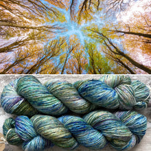 Load image into Gallery viewer, Woodland Sky Sparkle, merino nylon sock yarn