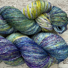 Load image into Gallery viewer, View of the Campsies, merino nylon sock yarn