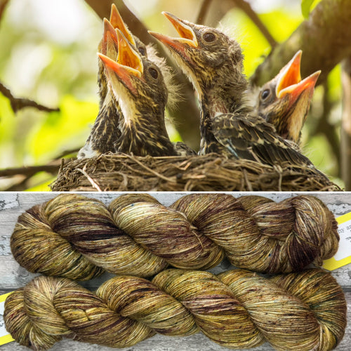 Nestling, merino nylon sock yarn