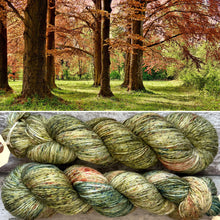 Load image into Gallery viewer, Awakening Woodland, merino nylon sock yarn