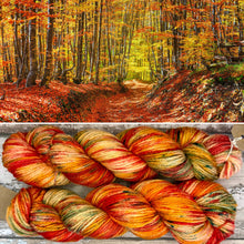 Load image into Gallery viewer, Beech Forest Aran, soft superwash merino yarn