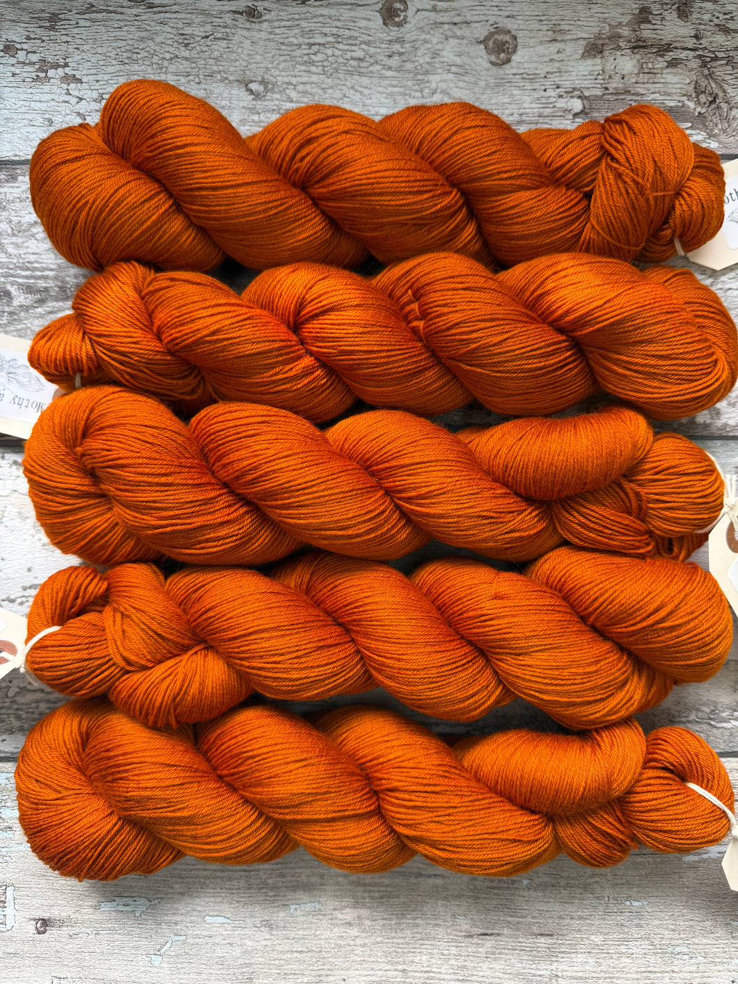Rust Bucket, merino nylon sock yarn – Mothy and the Squid